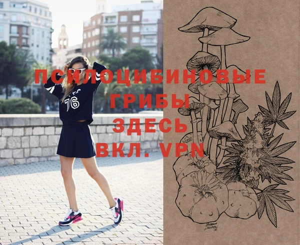 спиды Няндома