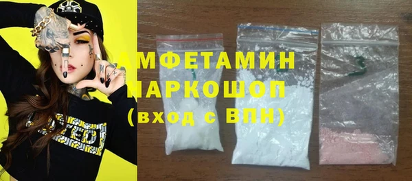твердый Новодвинск