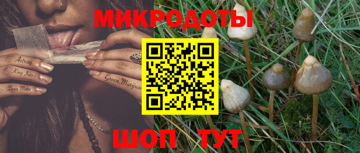 Псилоцибиновые грибы MAGIC MUSHROOMS Реутов